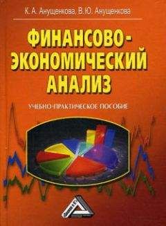 Ксения Анущенкова - Финансово-экономический анализ