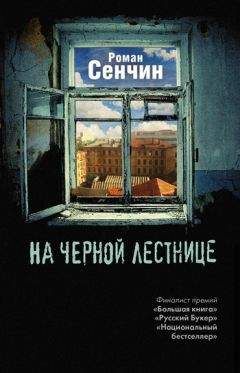 Роман Сенчин - На черной лестнице (сборник)