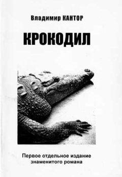 Владимир Кантор - Крокодил