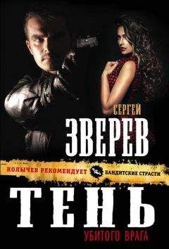 Сергей Зверев - Тень убитого врага