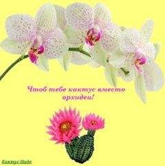 Надя Кактус - Чтоб тебе кактус вместо орхидеи! (СИ)