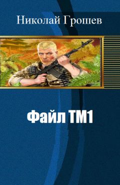 Николай Грошев - Файл ТМ1 (СИ)