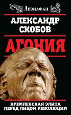 Александр Скобов - Агония. Кремлевская элита перед лицом революции