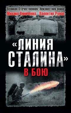 Михаил Виниченко - «Линия Сталина» в бою
