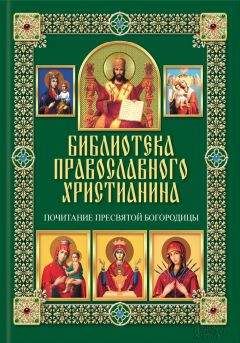 Павел Михалицын - Почитание Пресвятой Богородицы
