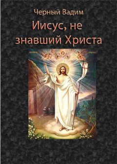Вадим Черный - Иисус, не знавший Христа