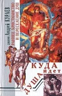 Андрей Кураев - Раннее христианство и переселение душ