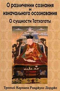 Третий Кармапа Ранджунг Дордже - О различении сознания и изначального осознавания. О сущности Татхагаты