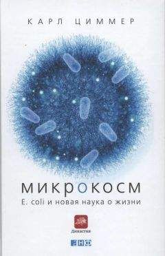 Карл Циммер - Микрокосм. E. coli и новая наука о жизни
