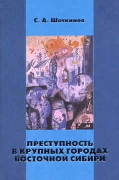 Сергей Шоткинов - Преступность в крупных городах Восточной Сибири