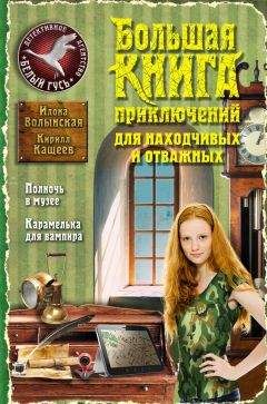 Илона Волынская - Большая книга приключений для находчивых и отважных (сборник)