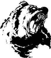 Kris Kelvin - Дракон и медведь