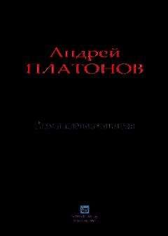 Андрей Платонов - Размышления читателя