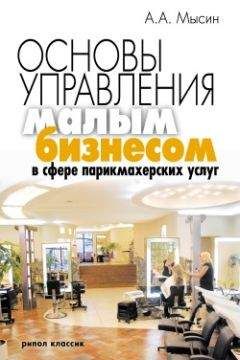 Александр Мысин - Основы управления малым бизнесом в сфере парикмахерских услуг