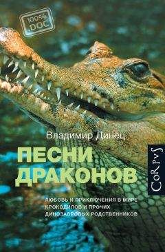 Владимир Динец - Песни драконов. Любовь и приключения в мире крокодилов и прочих динозавровых родственников