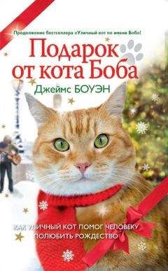 Джеймс Боуэн - Подарок от кота Боба. Как уличный кот помог человеку полюбить Рождество