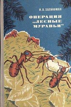 Иосиф Халифман - Операция „Лесные муравьи"