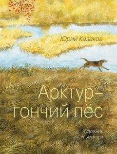 Юрий Казаков - Арктур – гончий пес (сборник)