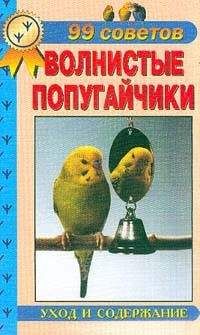 А. Рахманов - Волнистые попугайчики. Уход и содержание
