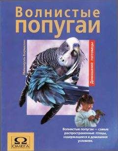 Иммануэль Бирмелин - Волнистые попугаи