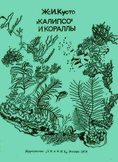 Жак-Ив Кусто - «Калипсо» и кораллы