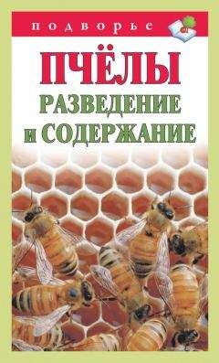 Тамара Руцкая - Пчёлы. Разведение и содержание