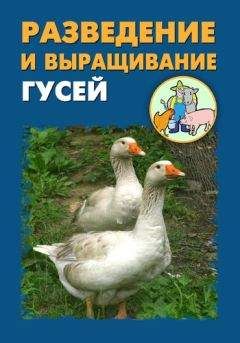 Илья Мельников - Разведение и выращивание гусей