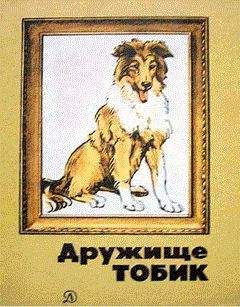 Станислав Романовский - Мальчик и две собаки