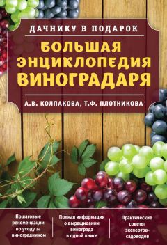 Анастасия Колпакова - Большая энциклопедия виноградаря