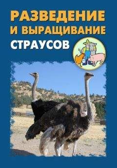 Илья Мельников - Разведение и выращивание страусов