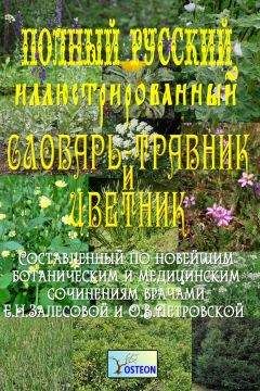 Е. Залесова - Полный иллюстрированный словарь-травник и цветник
