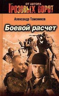 Александр Тамоников - Боевой расчет