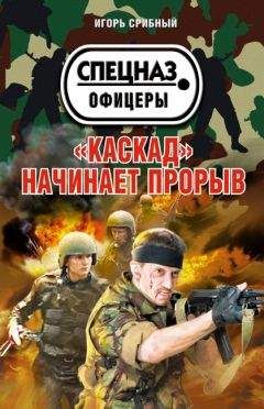 Игорь Срибный - «Каскад» начинает прорыв
