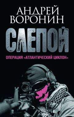 Андрей Воронин - Слепой. Операция «Атлантический циклон»