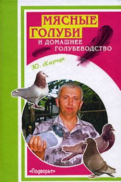 Юрий Харчук - Мясные голуби и домашнее голубеводство