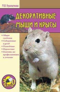 Марина Куропаткина - Декоративные мыши и крысы