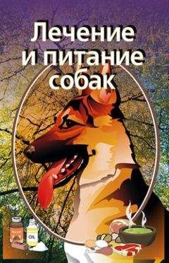 Илья Мельников - Лечение и питание собак