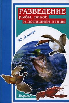 Юрий Харчук - Разведение рыбы, раков и домашней птицы