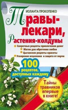 Иоланта Прокопенко - Травы-лекари, растения-колдуны. 100 рецептов, доступных каждому