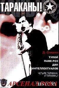 Дмитрий Спирин - Тупой панк-рок для интеллектуалов