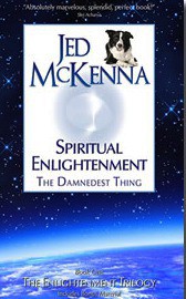 Духовное просветление: прескверная штука (ЛП) - МакКенна Джед