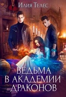Ведьма в академии драконов (СИ) - Ильина Настя