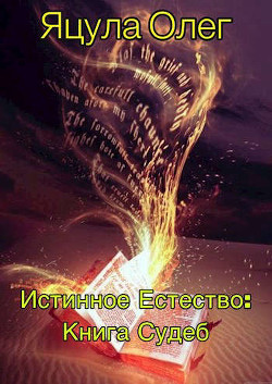 Книга Судеб (СИ) - Яцула Олег