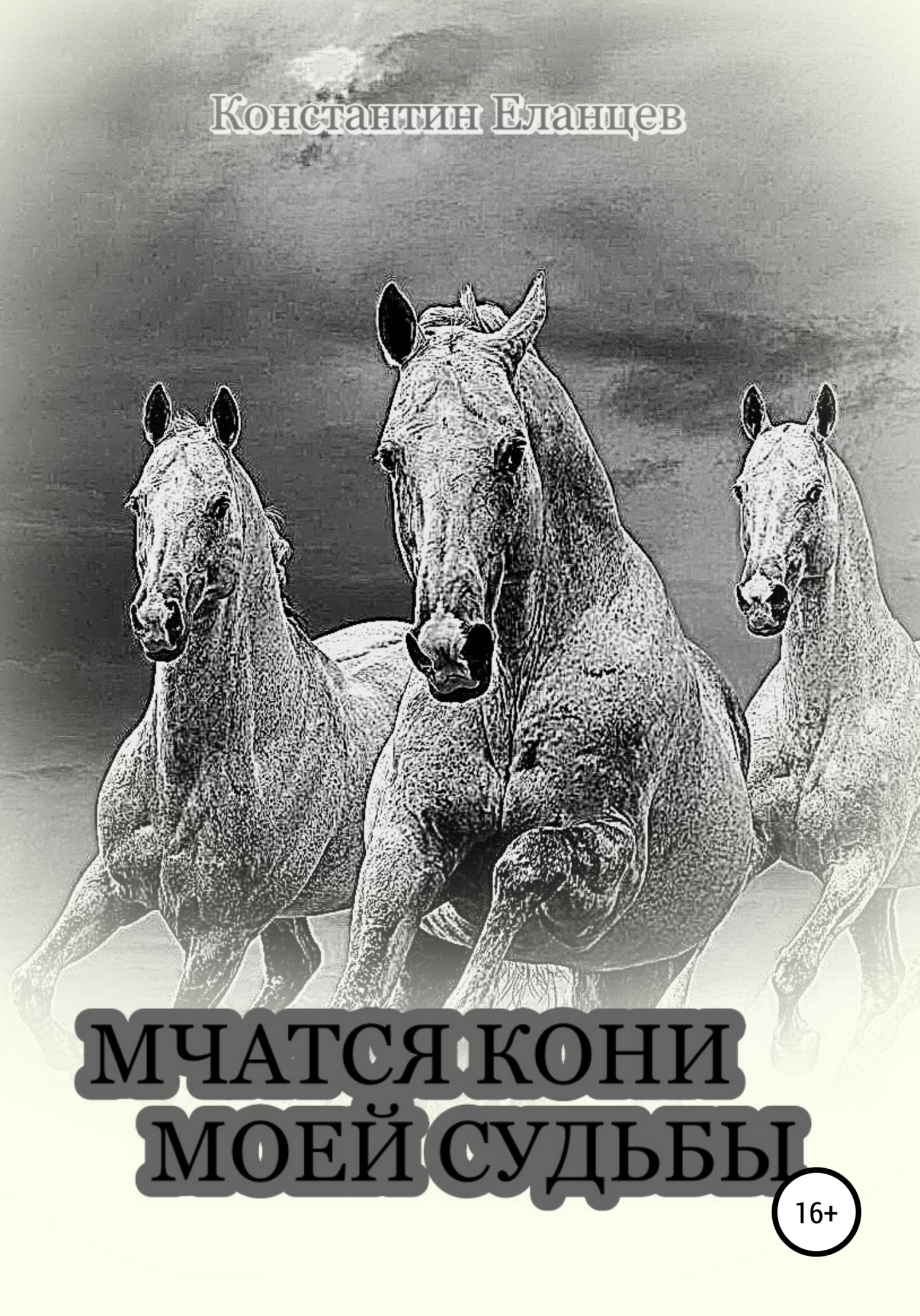 Мчатся кони моей судьбы - Константин Викторович Еланцев