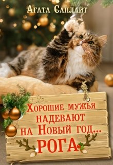 Хорошие мужья надевают на Новый год... рога - Агата Санлайт