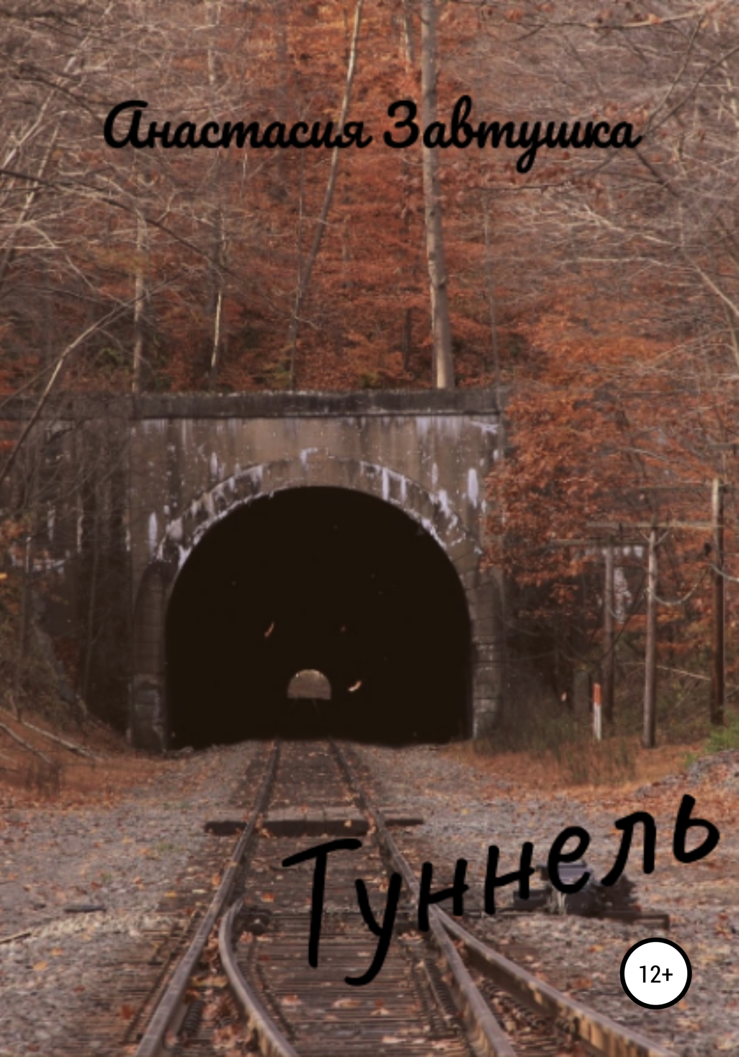 Туннель - Анастасия Завитушка