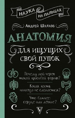 Анатомия для ищущих свой пупок - Шляхов Андрей Левонович