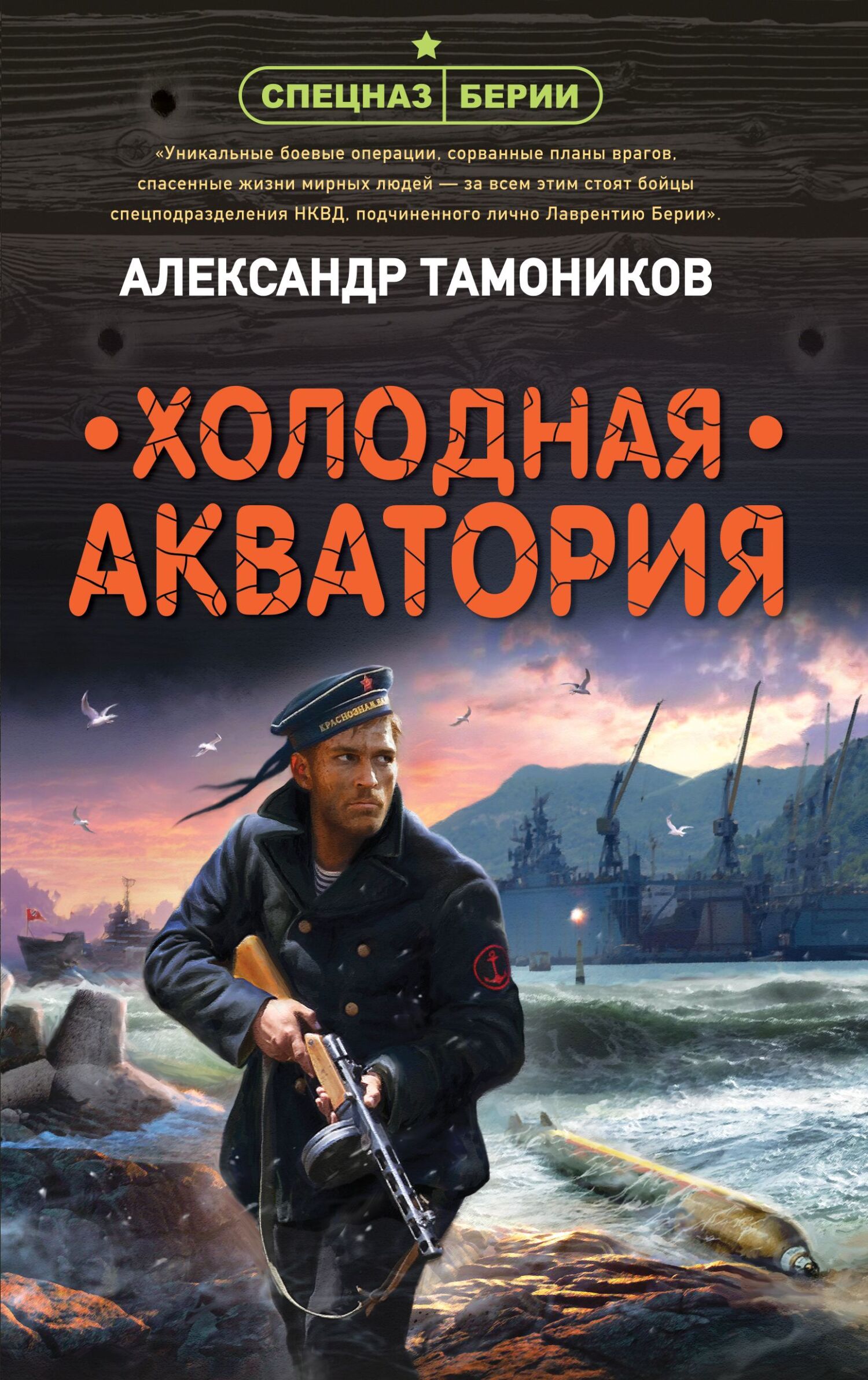 Холодная акватория - Александр Александрович Тамоников