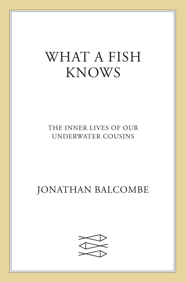 Что знает рыба. Внутренняя жизнь наших подводных сородичей - Jonathan Balcombe