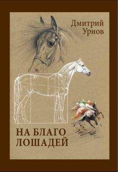 Дмитрий Урнов - На благо лошадей. Очерки иппические